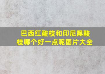 巴西红酸枝和印尼黑酸枝哪个好一点呢图片大全