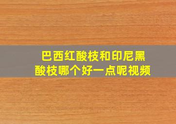 巴西红酸枝和印尼黑酸枝哪个好一点呢视频