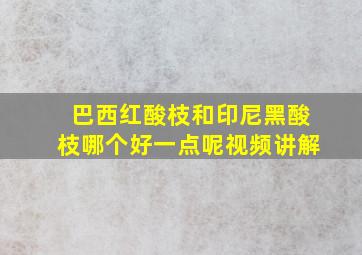 巴西红酸枝和印尼黑酸枝哪个好一点呢视频讲解