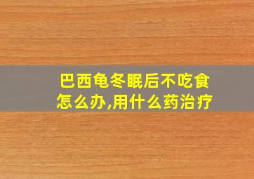 巴西龟冬眠后不吃食怎么办,用什么药治疗