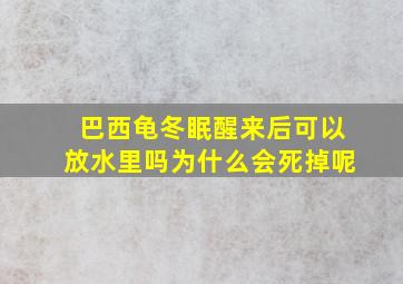 巴西龟冬眠醒来后可以放水里吗为什么会死掉呢