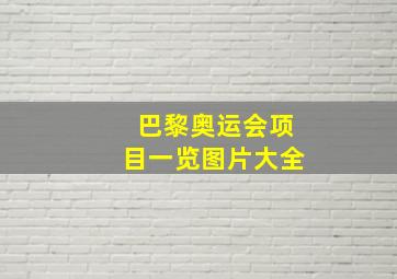 巴黎奥运会项目一览图片大全