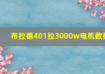 布拉德401拉3000w电机数据