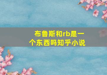 布鲁斯和rb是一个东西吗知乎小说