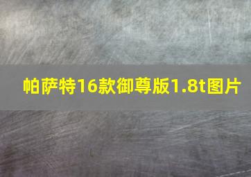 帕萨特16款御尊版1.8t图片