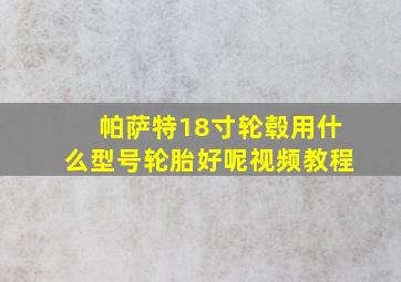 帕萨特18寸轮毂用什么型号轮胎好呢视频教程