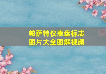 帕萨特仪表盘标志图片大全图解视频