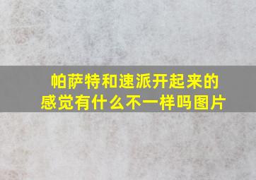 帕萨特和速派开起来的感觉有什么不一样吗图片