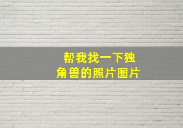 帮我找一下独角兽的照片图片