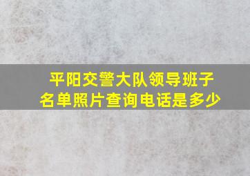 平阳交警大队领导班子名单照片查询电话是多少