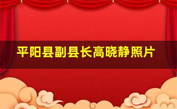 平阳县副县长高晓静照片