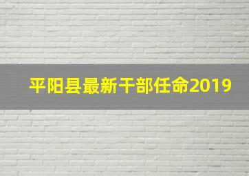 平阳县最新干部任命2019