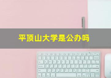 平顶山大学是公办吗