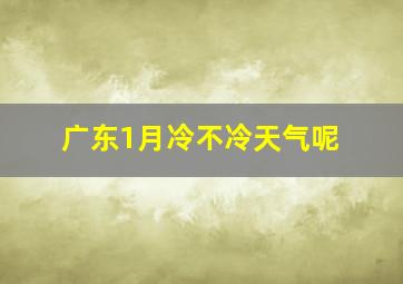 广东1月冷不冷天气呢