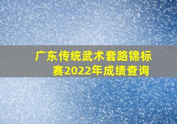 广东传统武术套路锦标赛2022年成绩查询