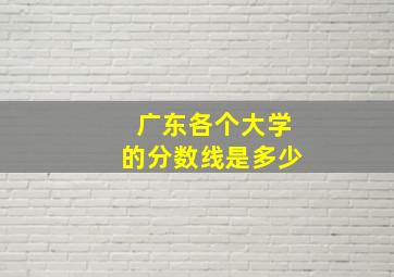 广东各个大学的分数线是多少