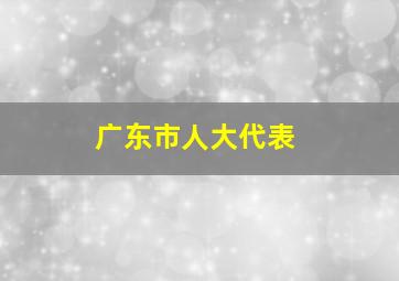 广东市人大代表