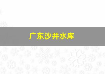 广东沙井水库