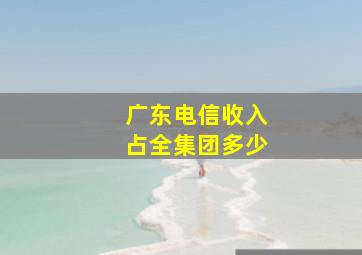 广东电信收入占全集团多少