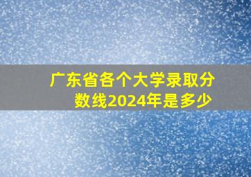 广东省各个大学录取分数线2024年是多少