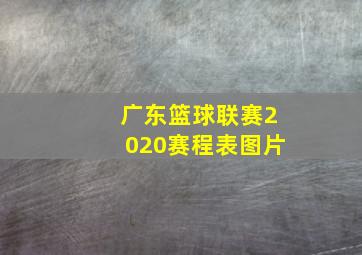 广东篮球联赛2020赛程表图片