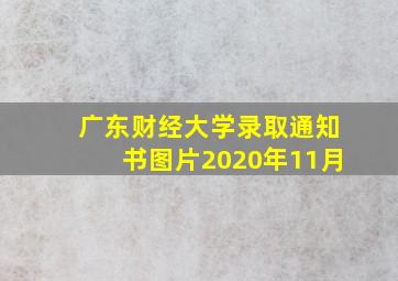 广东财经大学录取通知书图片2020年11月