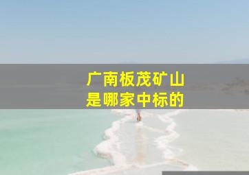 广南板茂矿山是哪家中标的