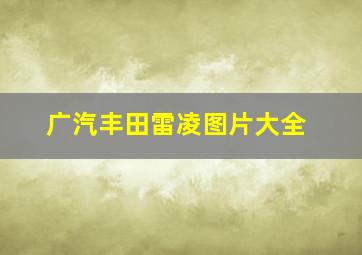 广汽丰田雷凌图片大全