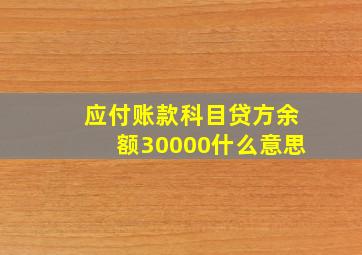 应付账款科目贷方余额30000什么意思