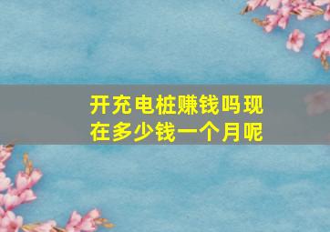 开充电桩赚钱吗现在多少钱一个月呢