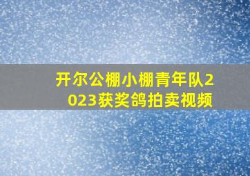 开尔公棚小棚青年队2023获奖鸽拍卖视频