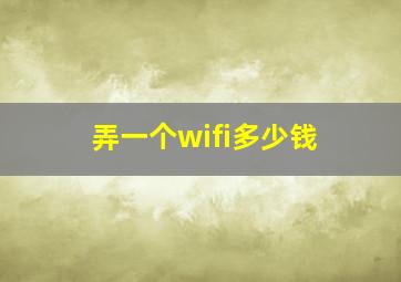 弄一个wifi多少钱