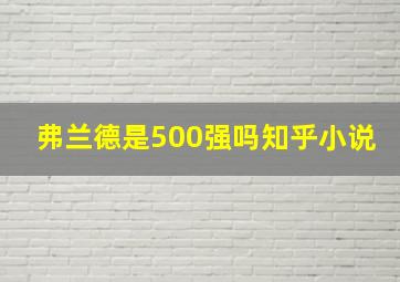 弗兰德是500强吗知乎小说