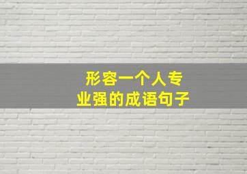 形容一个人专业强的成语句子