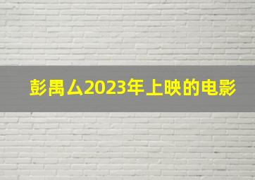 彭禺厶2023年上映的电影