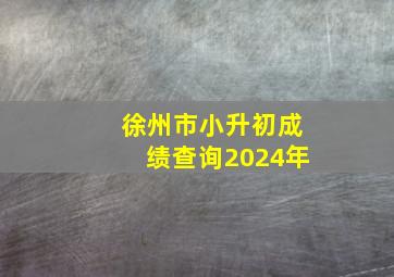 徐州市小升初成绩查询2024年