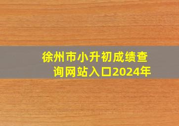 徐州市小升初成绩查询网站入口2024年