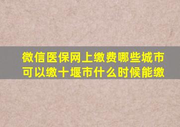 微信医保网上缴费哪些城市可以缴十堰市什么时候能缴