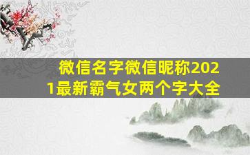 微信名字微信昵称2021最新霸气女两个字大全