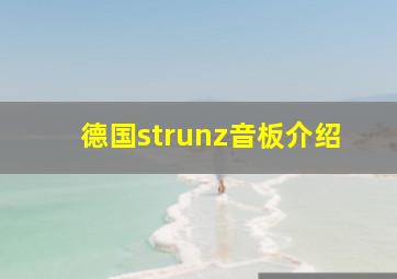 德国strunz音板介绍