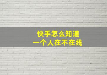 快手怎么知道一个人在不在线