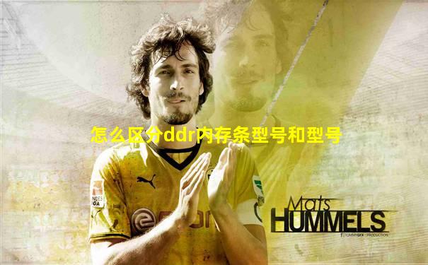 怎么区分ddr内存条型号和型号