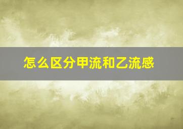 怎么区分甲流和乙流感