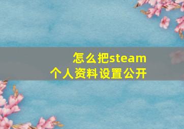 怎么把steam个人资料设置公开