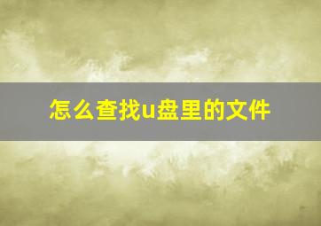 怎么查找u盘里的文件