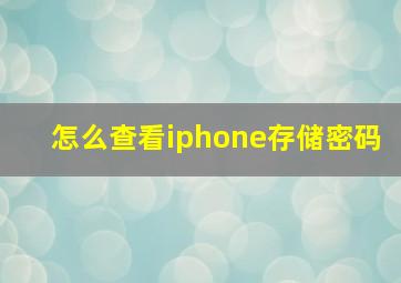 怎么查看iphone存储密码