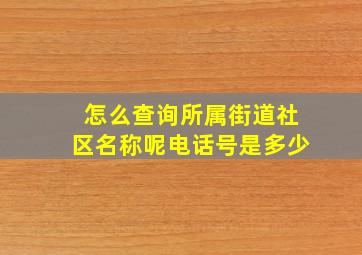 怎么查询所属街道社区名称呢电话号是多少