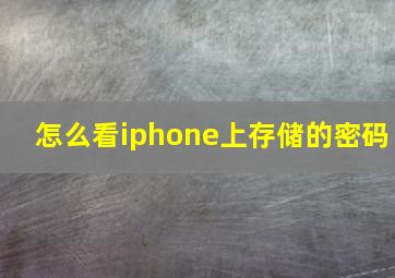 怎么看iphone上存储的密码