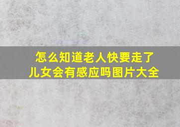 怎么知道老人快要走了儿女会有感应吗图片大全