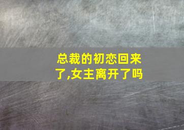 总裁的初恋回来了,女主离开了吗